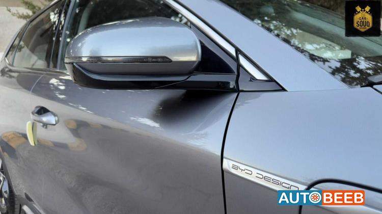 بي واي دي يوان 2022