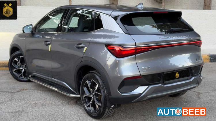 بي واي دي يوان 2022