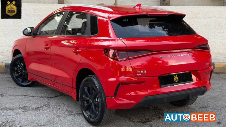 بي واي دي E2 2021