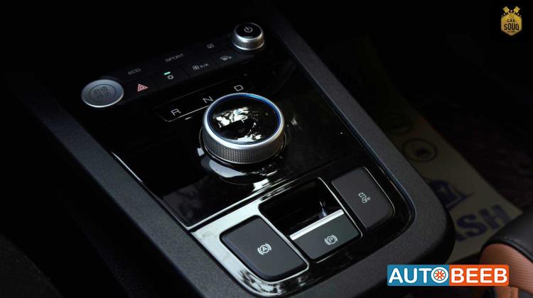 بي واي دي E2 2021