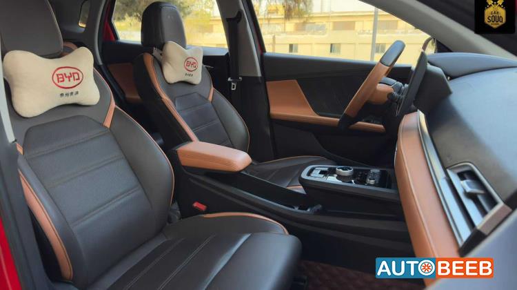 بي واي دي E2 2021