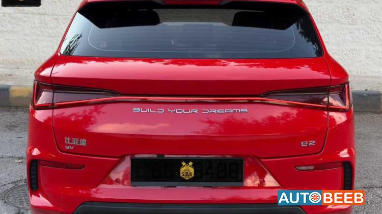 بي واي دي E2 2021