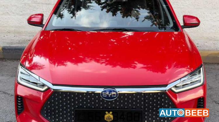 بي واي دي E2 2021