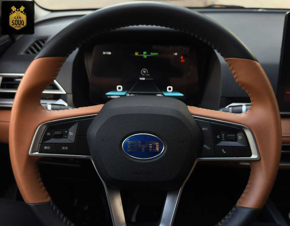 بي واي دي E2 2021