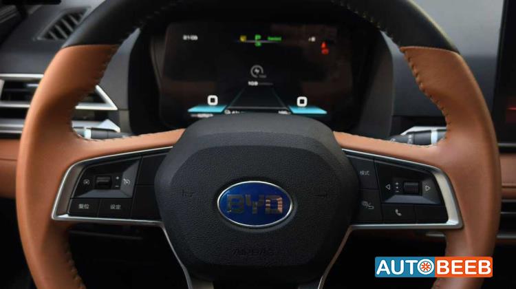 بي واي دي E2 2021