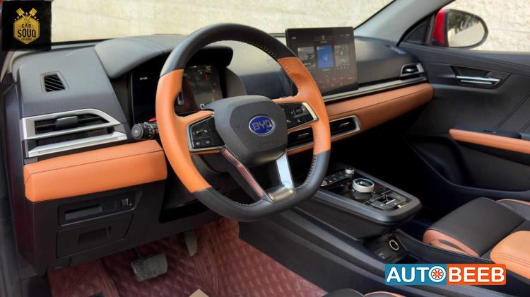 بي واي دي E2 2021