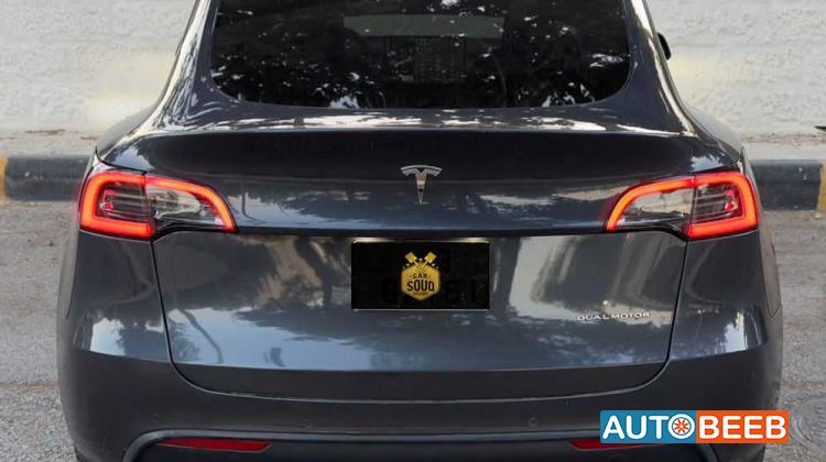 Tesla Y 2021
