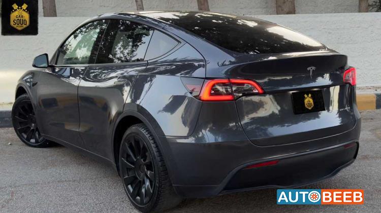 Tesla Y 2021