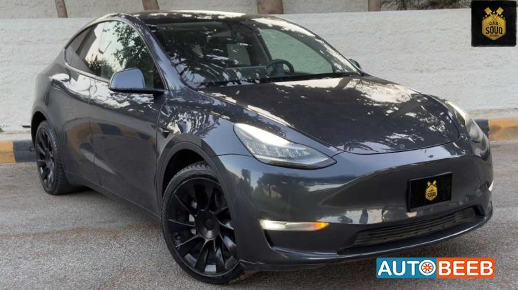 Tesla Y 2021