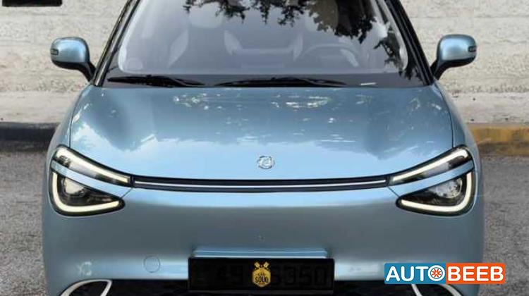 Dongfeng Nammi Box 2024