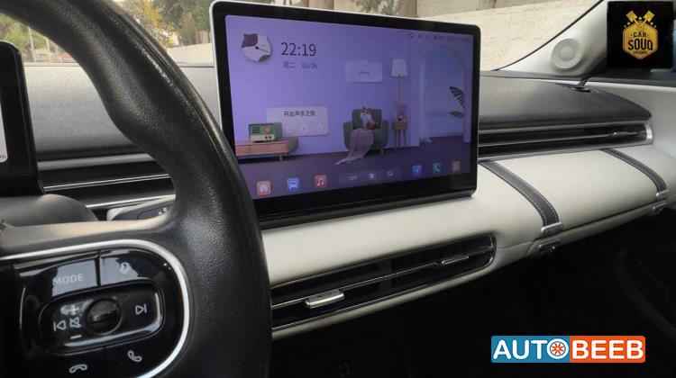 Dongfeng Nammi Box 2024