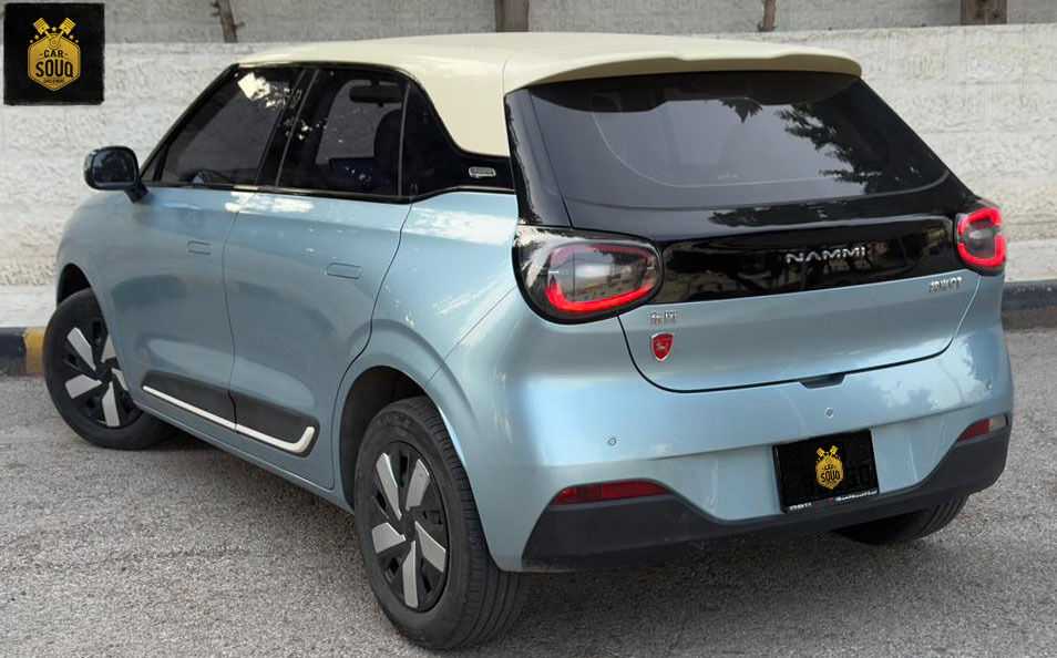 Dongfeng Nammi Box 2024