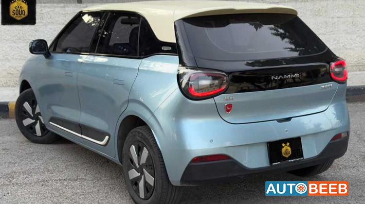 Dongfeng Nammi Box 2024