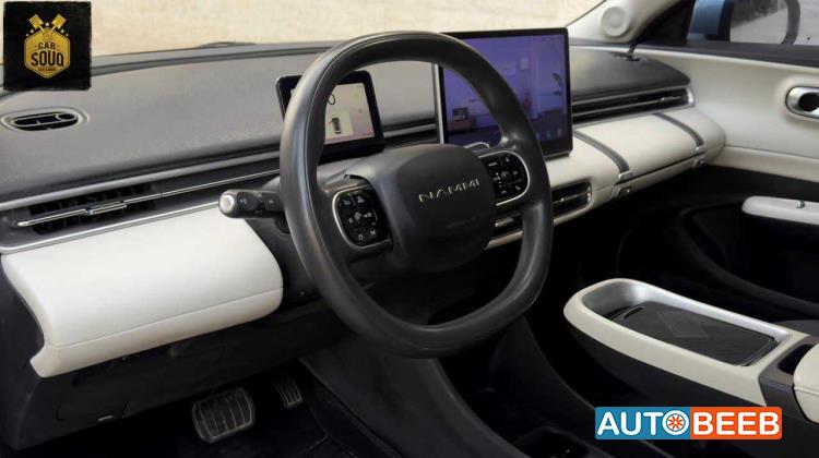 Dongfeng Nammi Box 2024