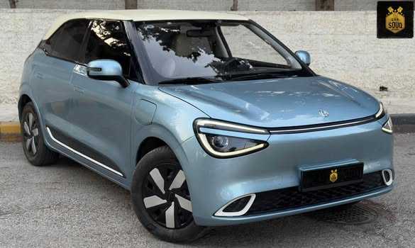 Dongfeng Nammi Box 2024