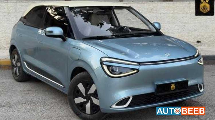 Dongfeng Nammi Box 2024