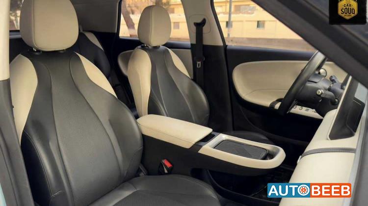 Dongfeng Nammi Box 2024