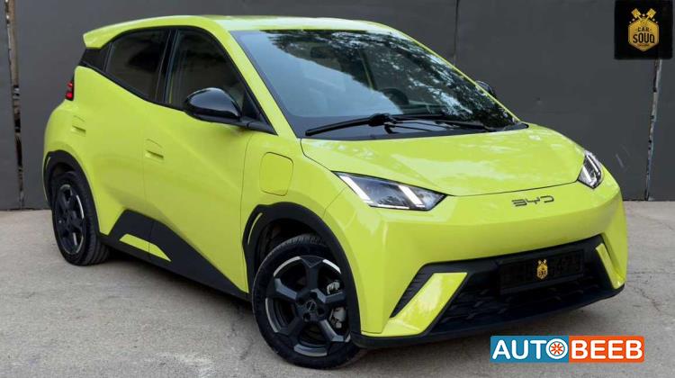 BYD Seagull 2023