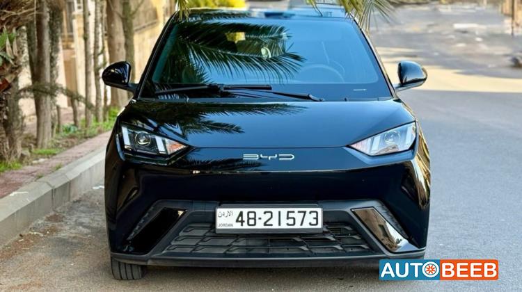 BYD Seagull 2023