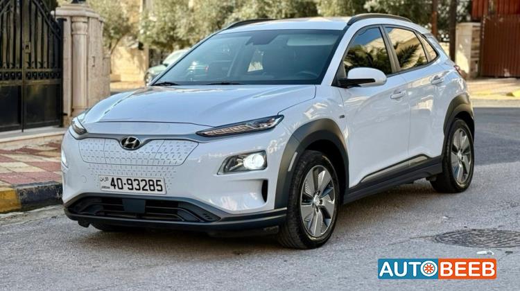 Hyundai kona 2019