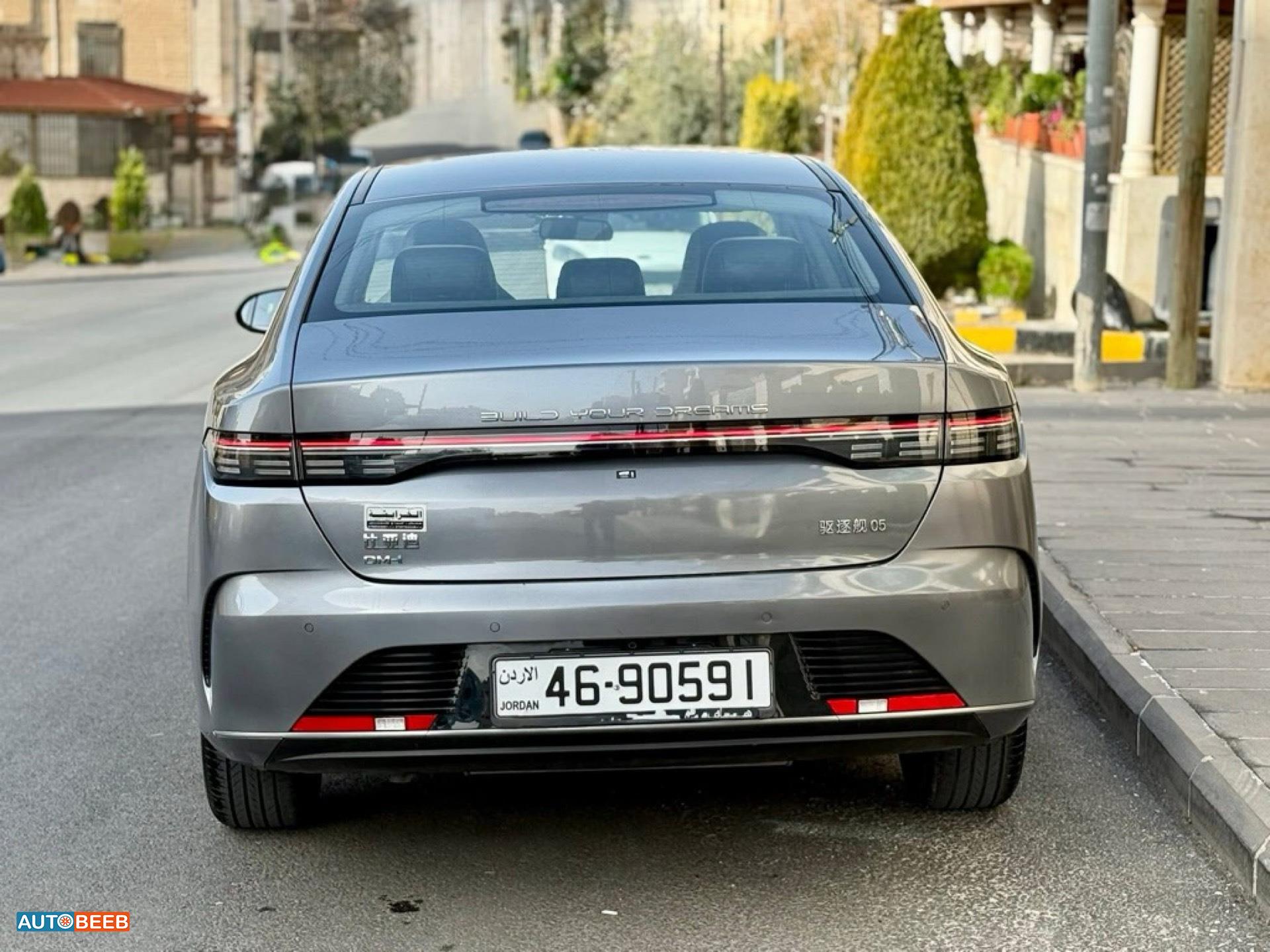 BYD Destroyer 05 2024