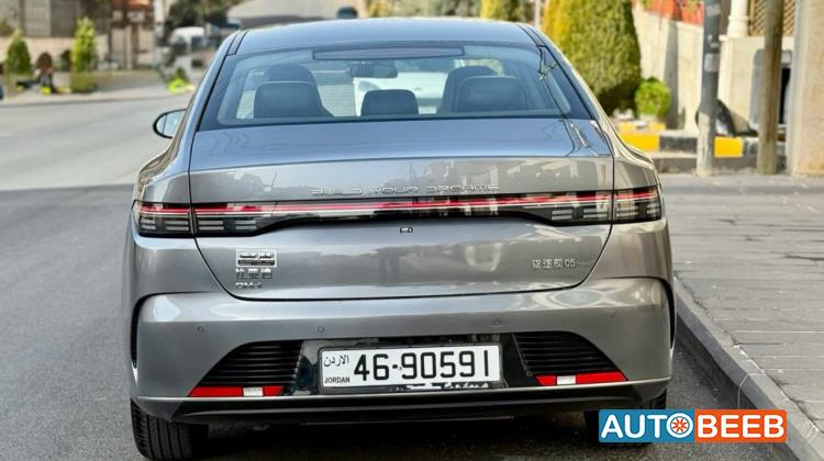 BYD Destroyer 05 2024