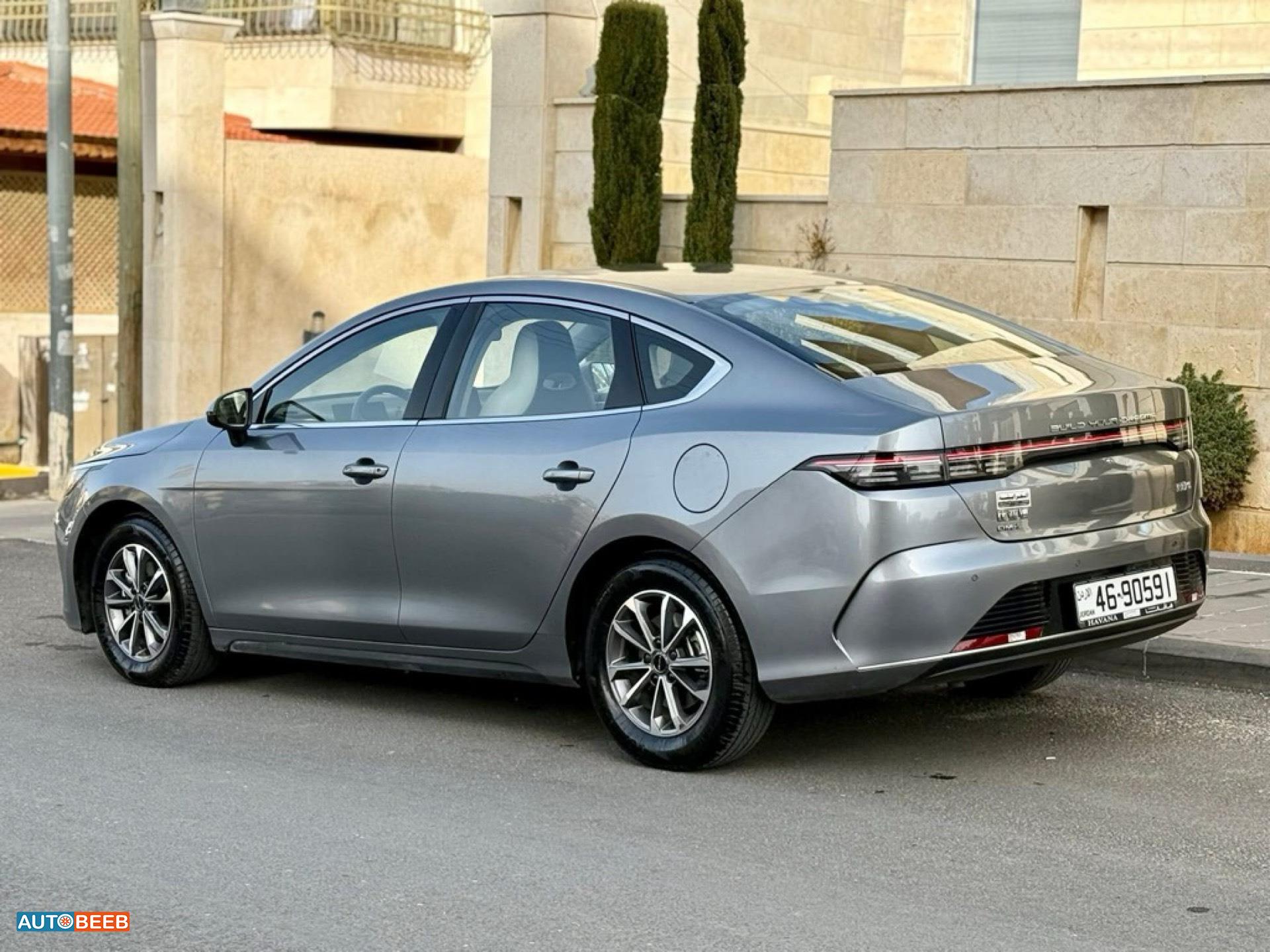 BYD Destroyer 05 2024