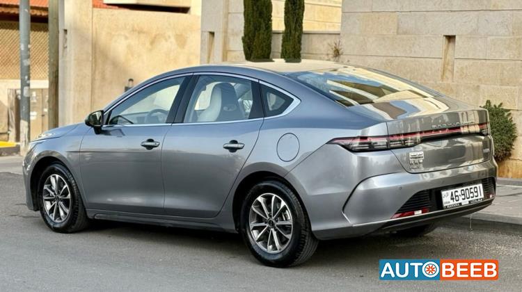 BYD Destroyer 05 2024