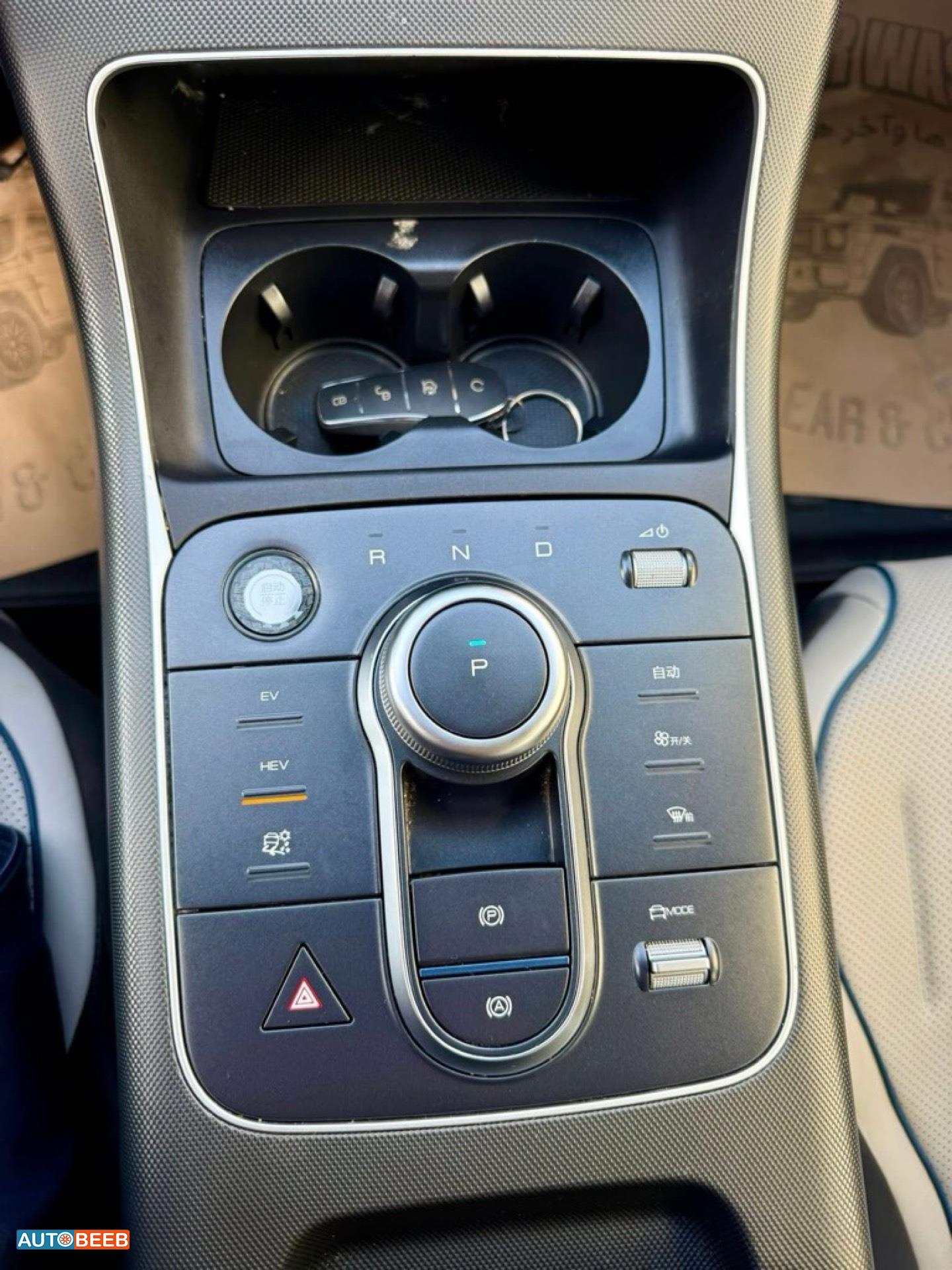 BYD Destroyer 05 2024