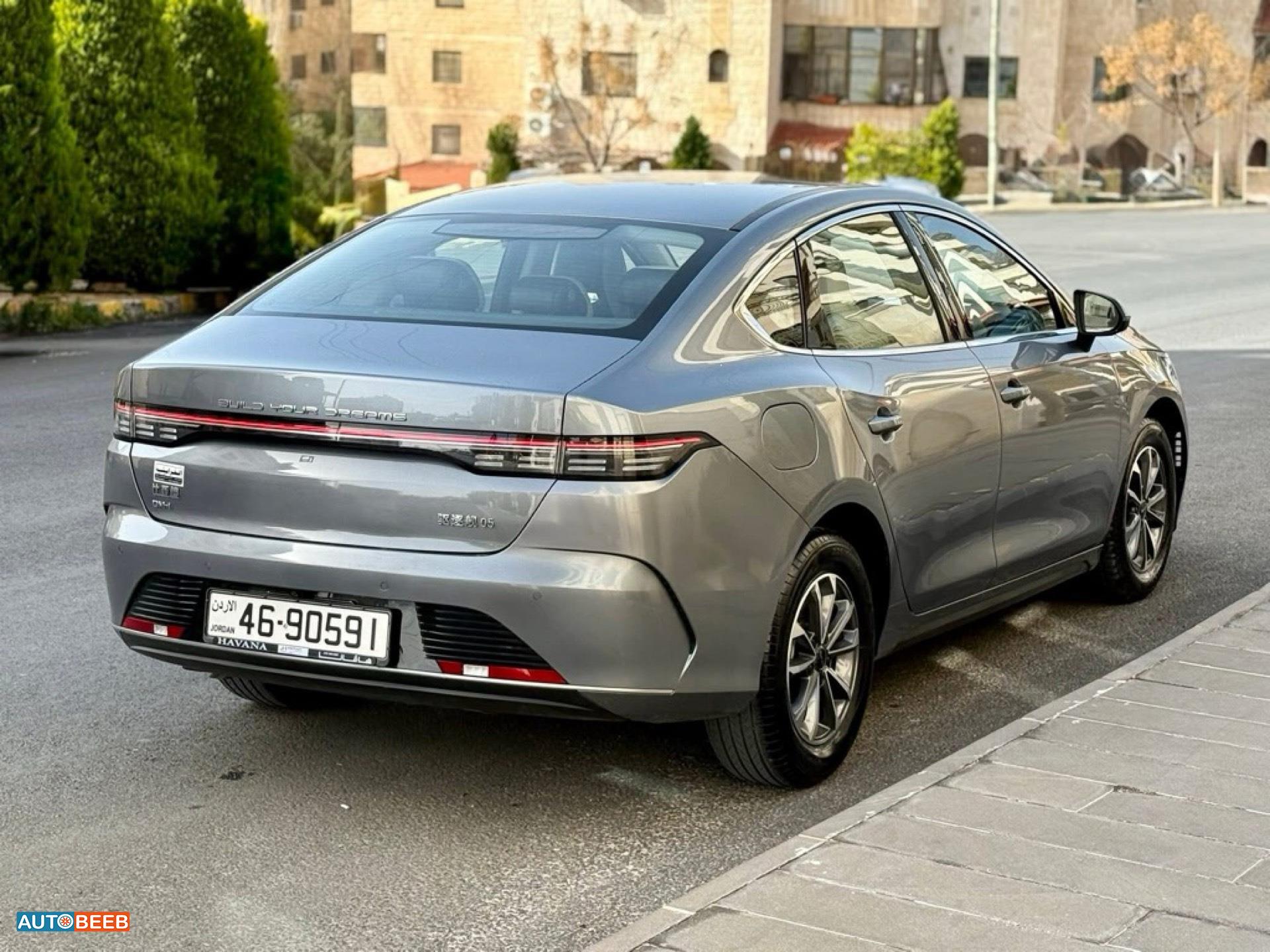 BYD Destroyer 05 2024