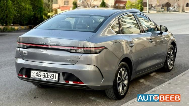 BYD Destroyer 05 2024