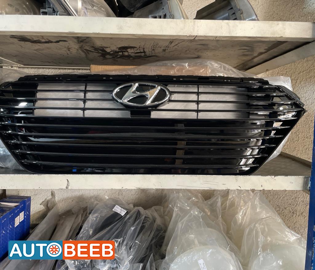 Body  Grilles Hyundai Ioniq