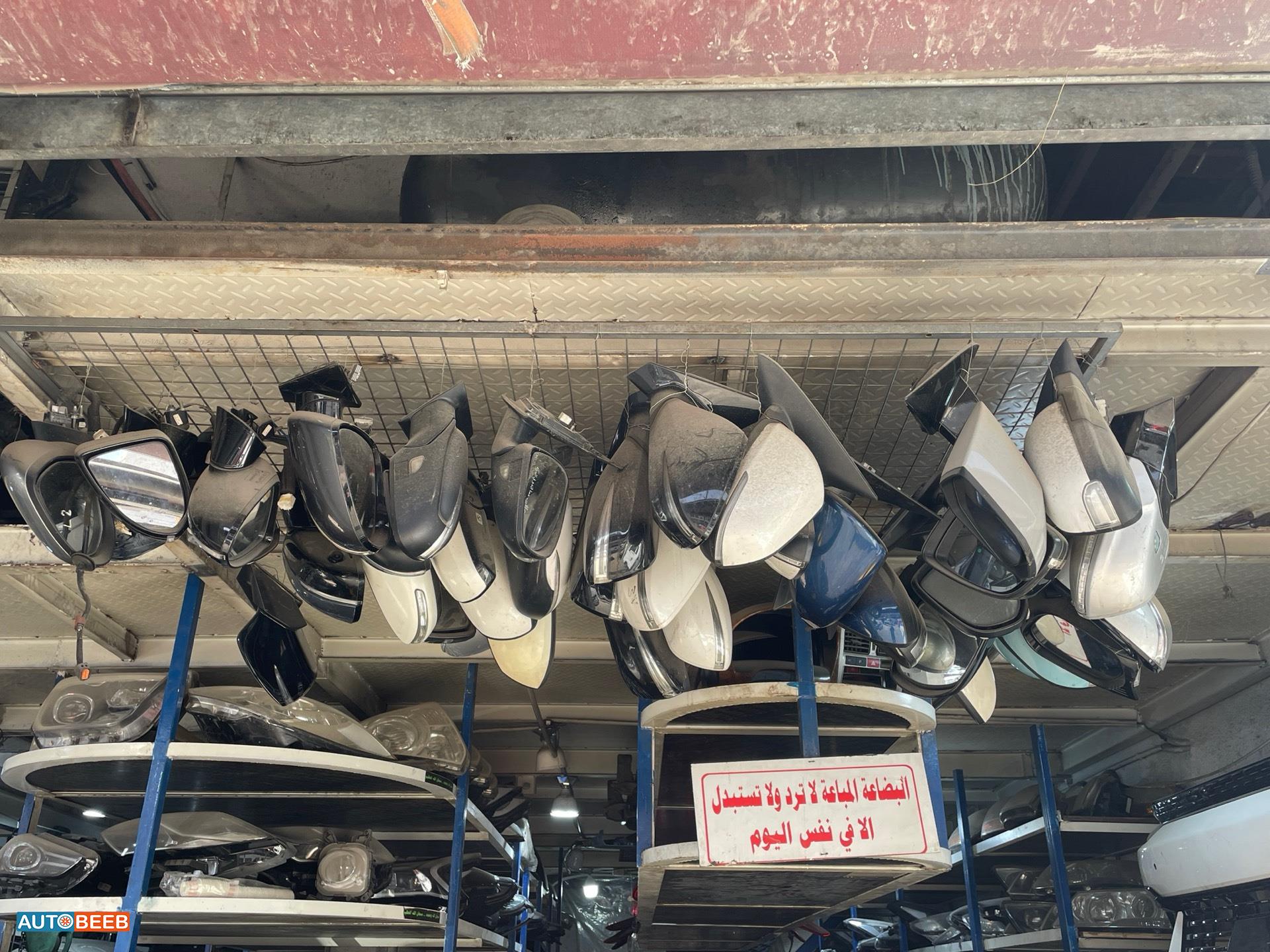 Body  Wing Mirror KIA Niro