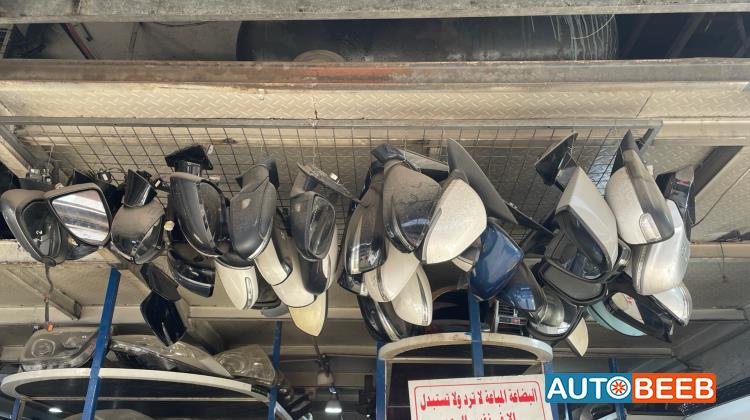 Body  Wing Mirror KIA Niro