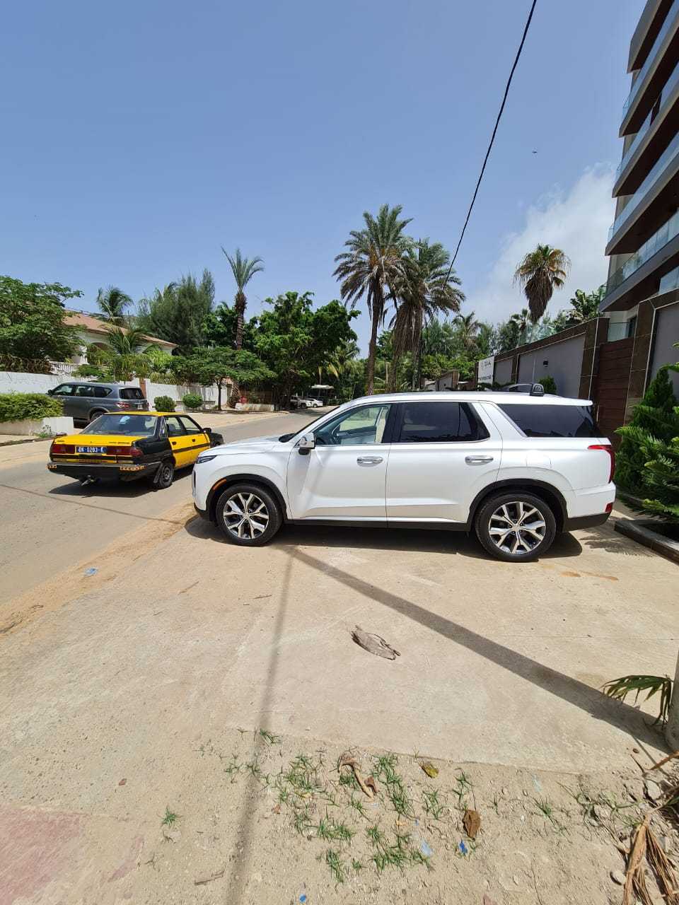 Hyundai Palisade 2021