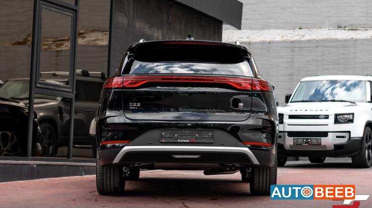 بي واي دي تانج 2025