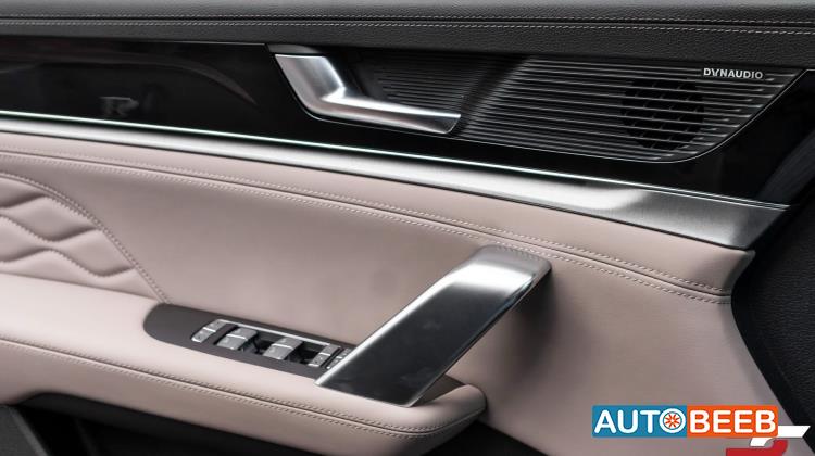 بي واي دي تانج 2025