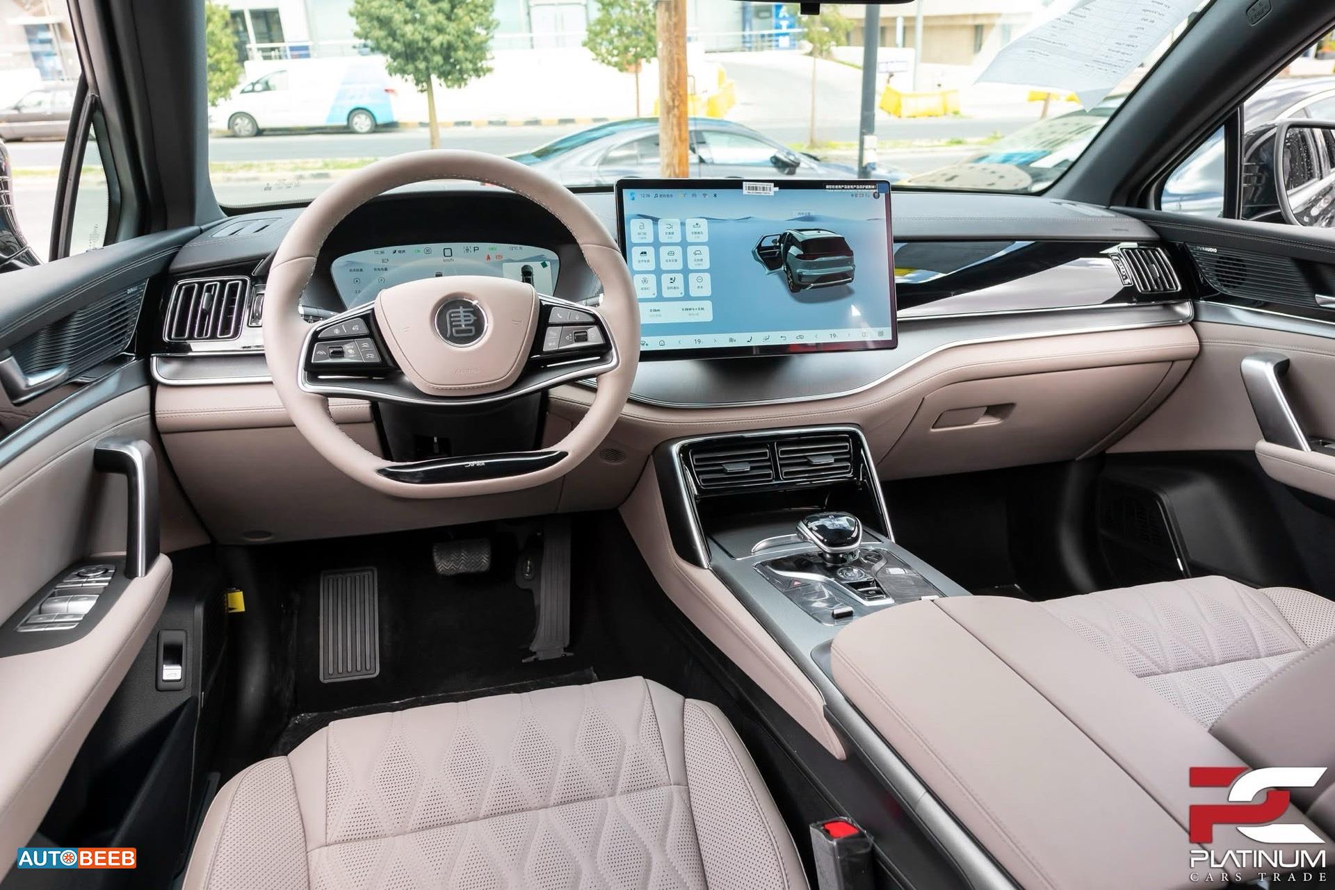 بي واي دي تانج 2025