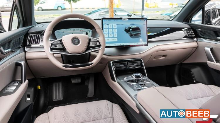 بي واي دي تانج 2025