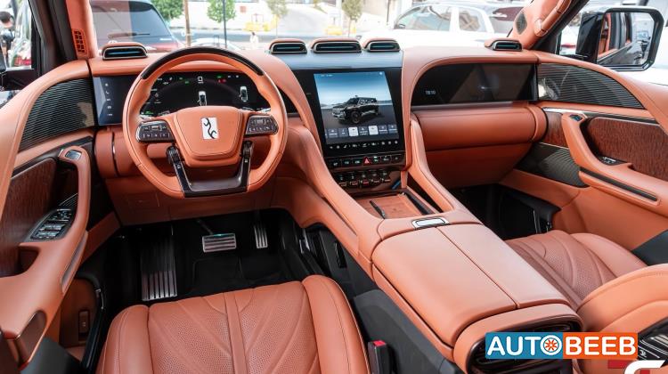 بي واي دي يانغوانغ يو8 2024