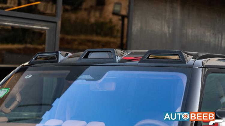 بي واي دي يانغوانغ يو8 2024