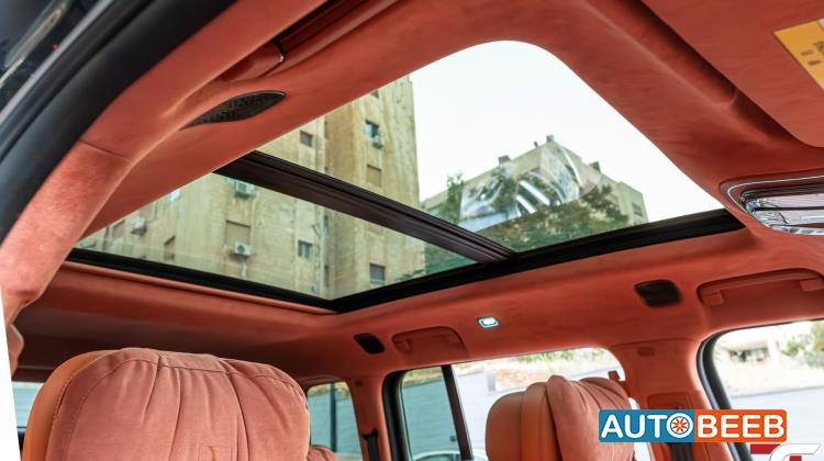 بي واي دي يانغوانغ يو8 2024