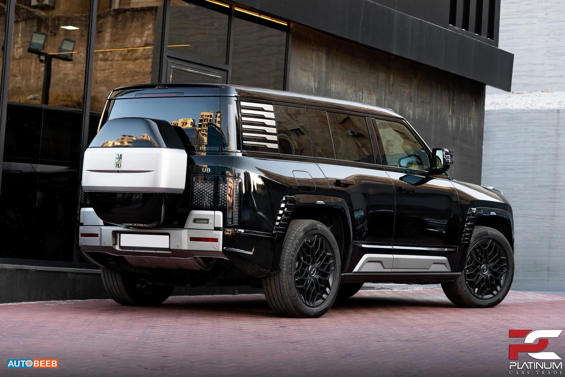 بي واي دي يانغوانغ يو8 2024