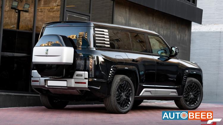 بي واي دي يانغوانغ يو8 2024