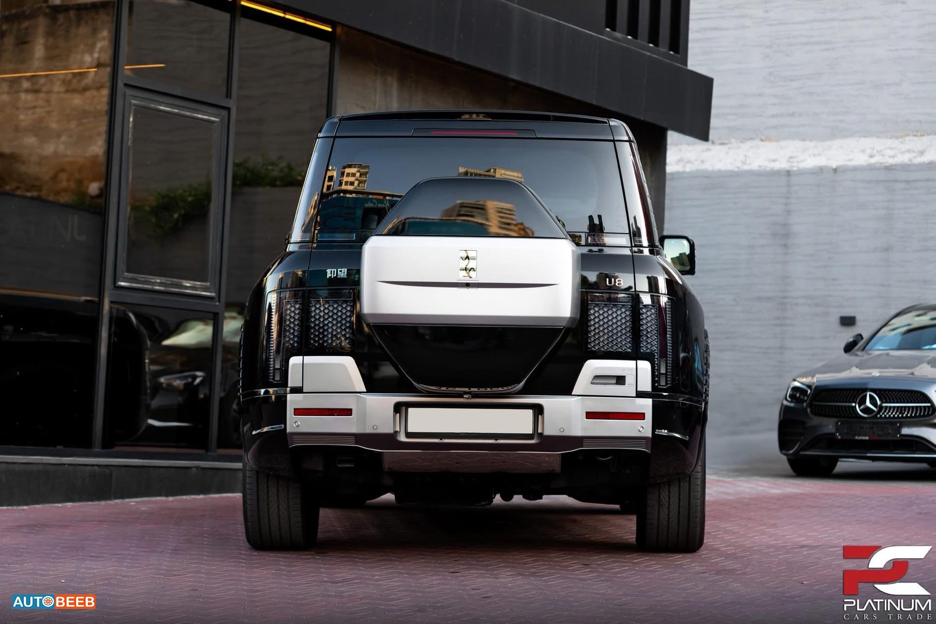 بي واي دي يانغوانغ يو8 2024