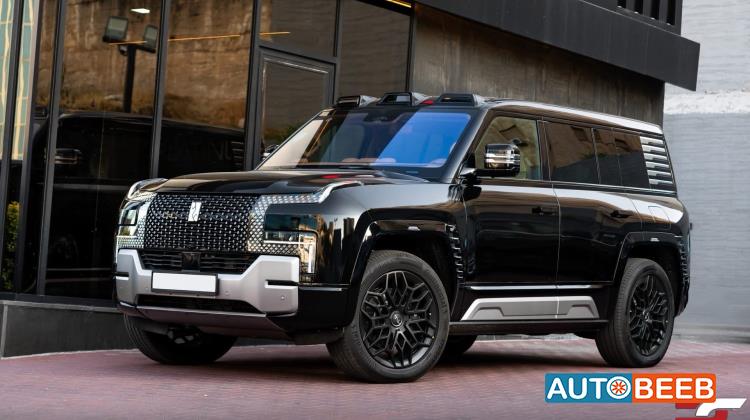 بي واي دي يانغوانغ يو8 2024