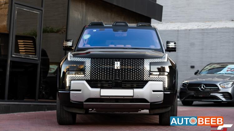 بي واي دي يانغوانغ يو8 2024