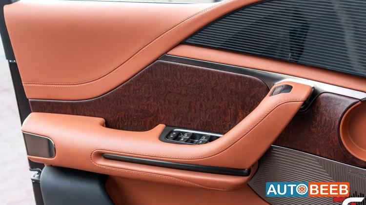 بي واي دي يانغوانغ يو8 2024