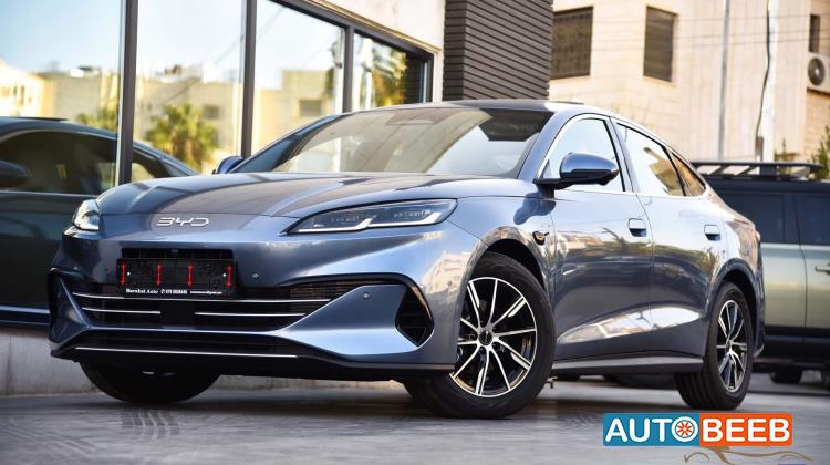 بي واي دي سيل 2025