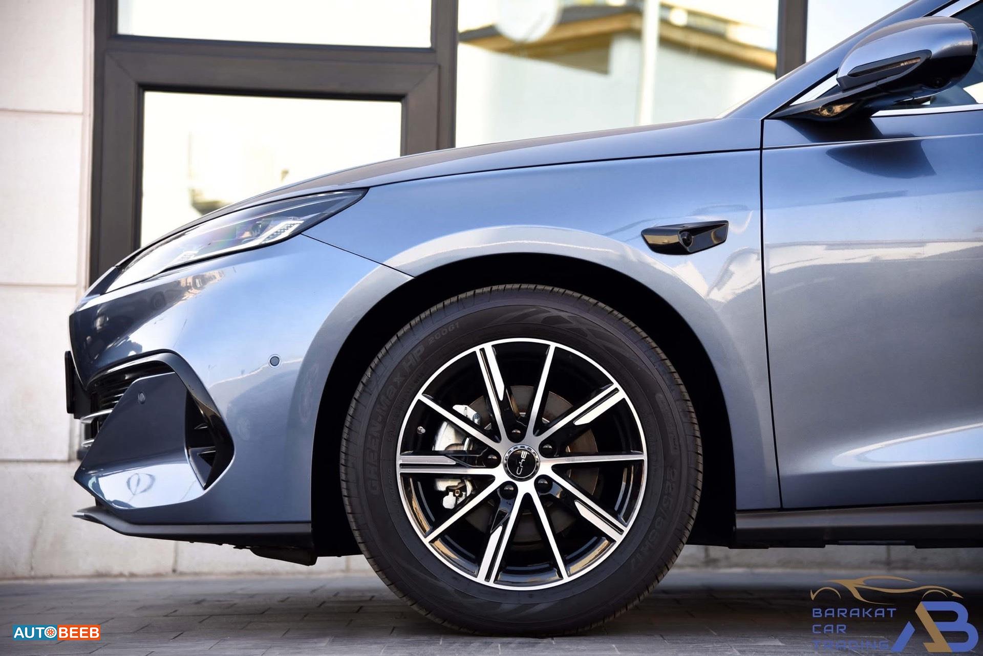 بي واي دي سيل 2025